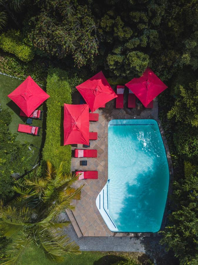 Avondrood Guest House By The Oyster Collection Franschhoek Ngoại thất bức ảnh